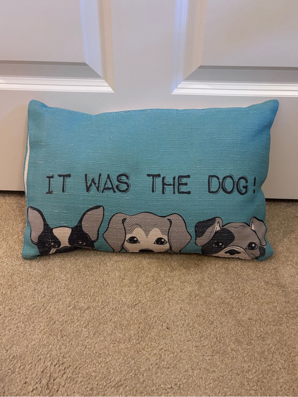 It Was the Dog Pillow